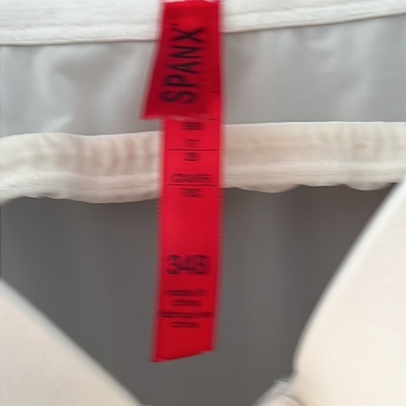 Spanx suit your fancy - Picture 4 of 10